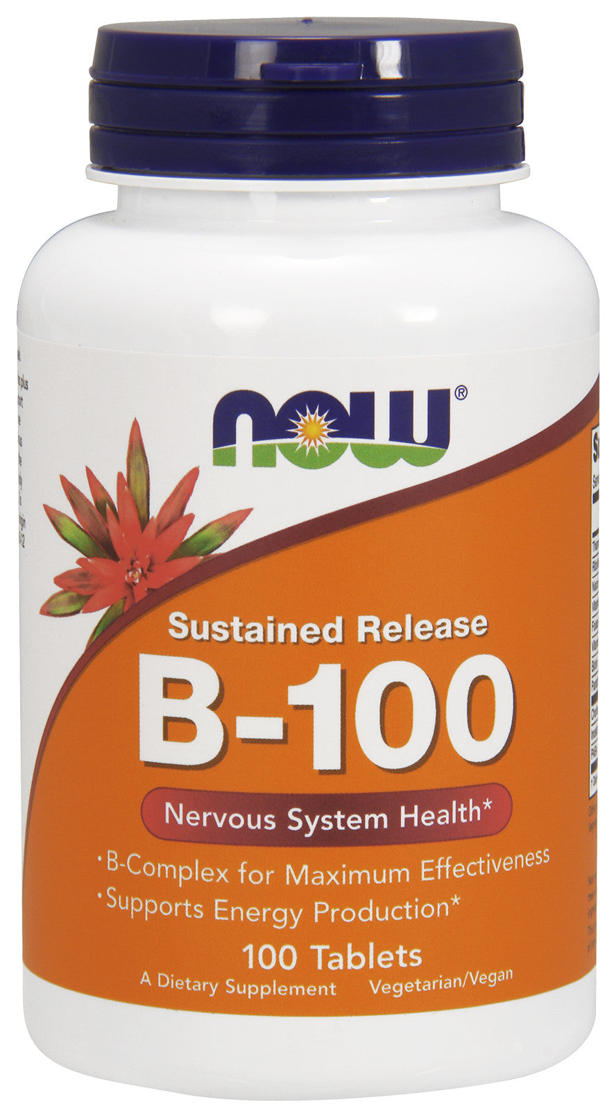 Vitamin B-100 Sustained Release - 100 tabs