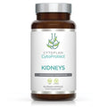 Kidneys - CytoProtect - 60 vcaps